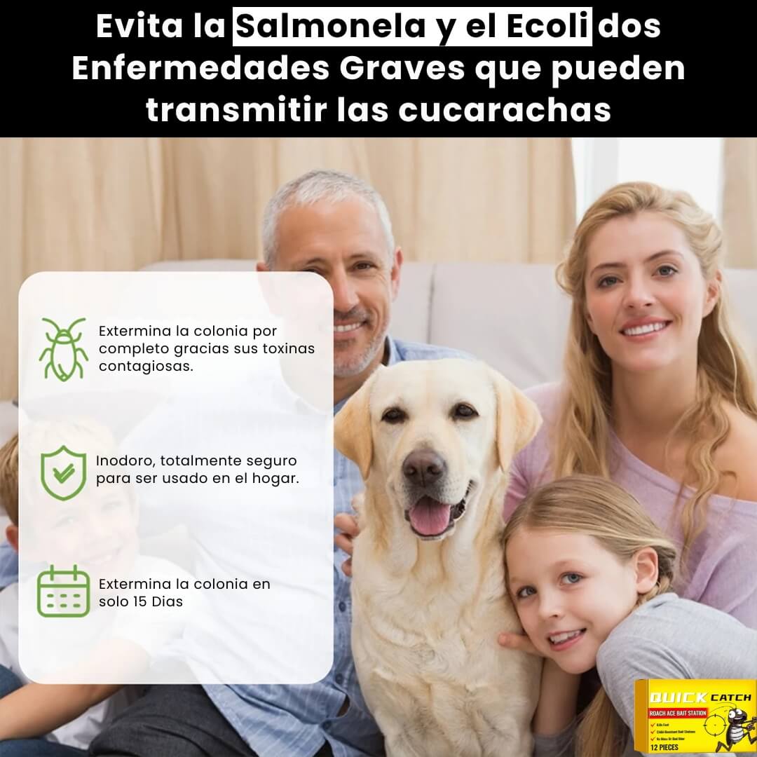 Image Title Alt Image