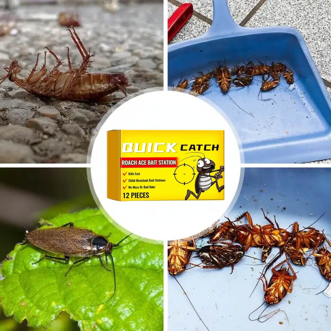 Image Title Alt Image