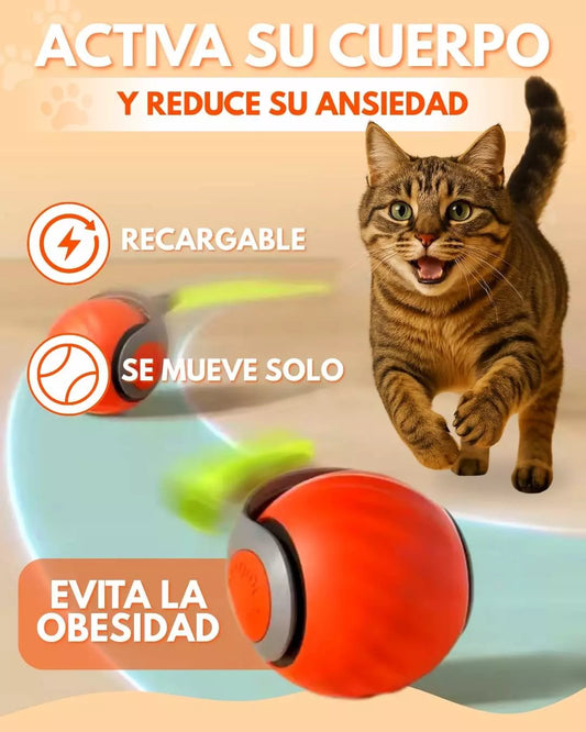 GATOBALL