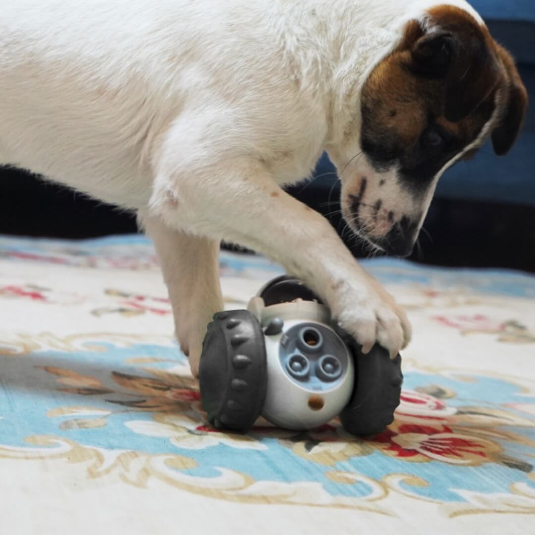 PuzzlePet: Juguete Interactivo Dispensador de Croquetas