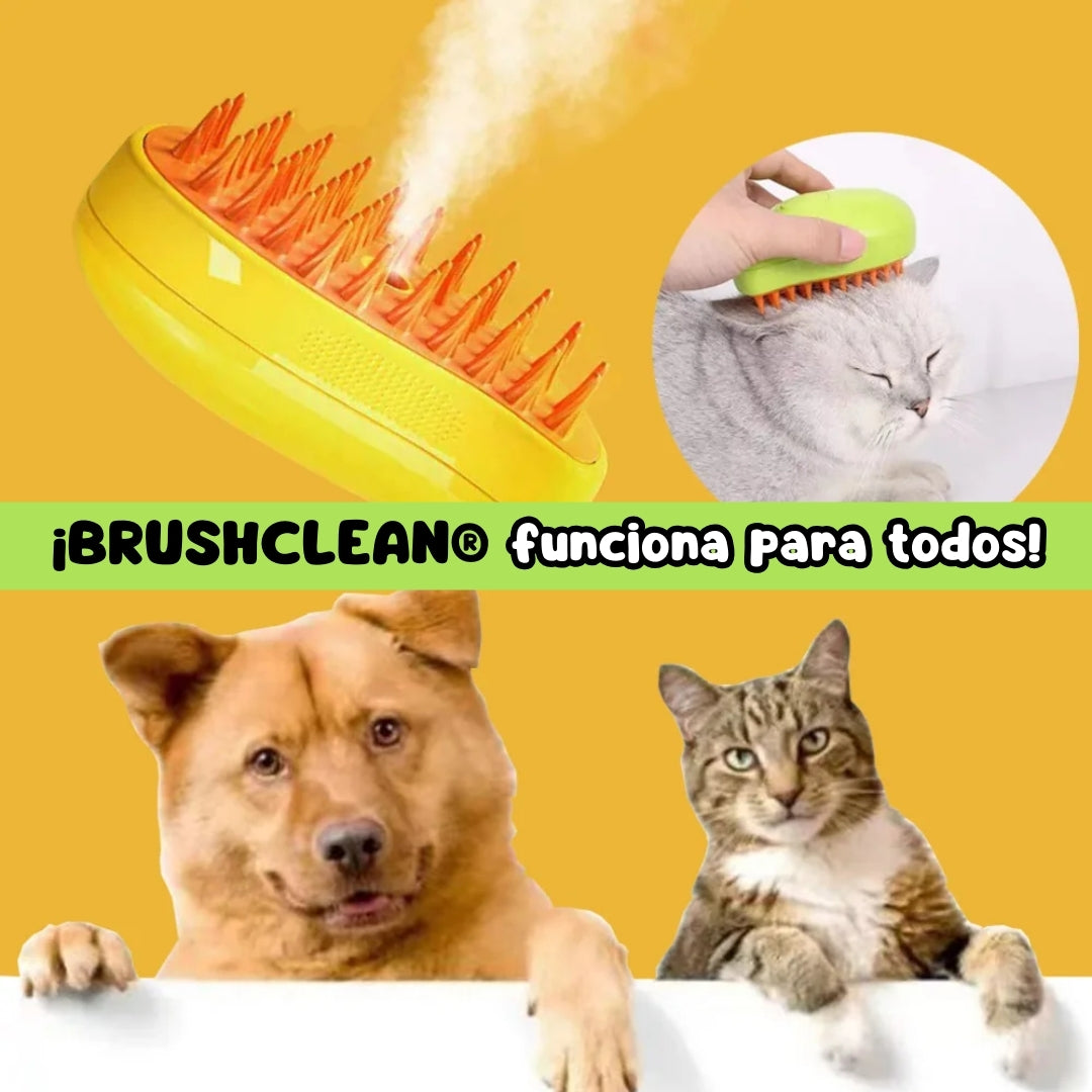 BRUSHCLEAN® l CEPILLO VAPORIZADOR 3 EN 1 + REGALO PELOTA INTERACTIVA 🎁