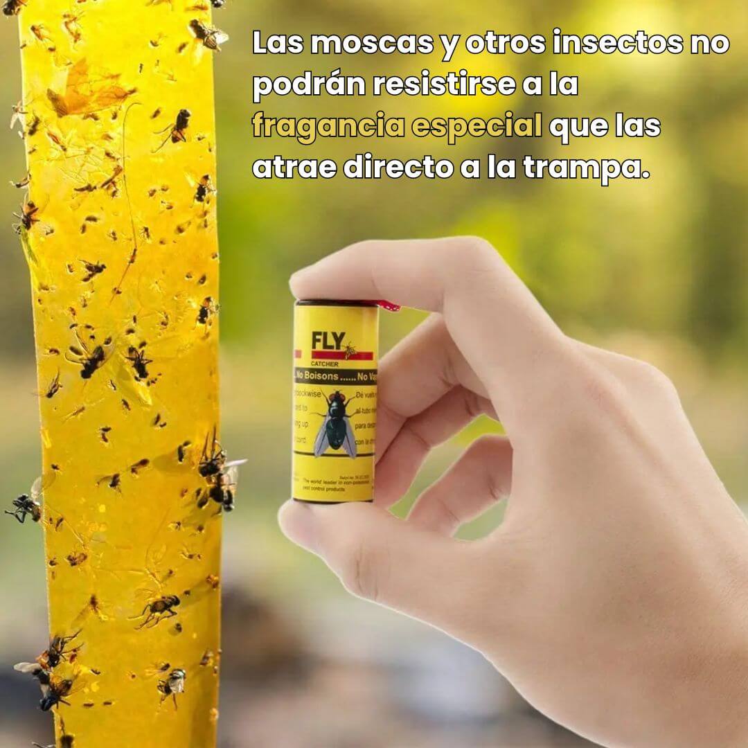 TrampaSafe™: Trampa para Moscas Sin Químicos