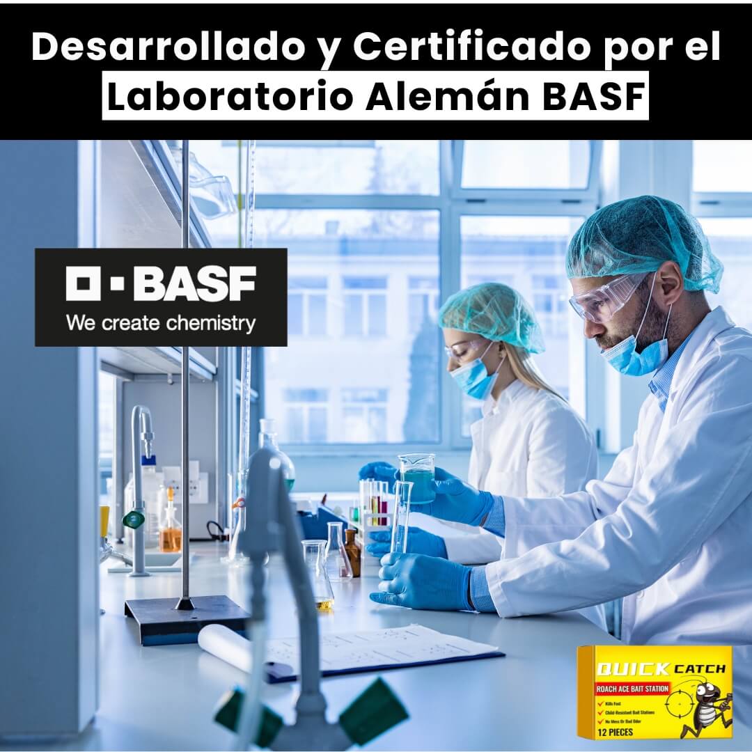 QuiCatch™: Cebo 100% Efectivo para Exterminar Cucarachas