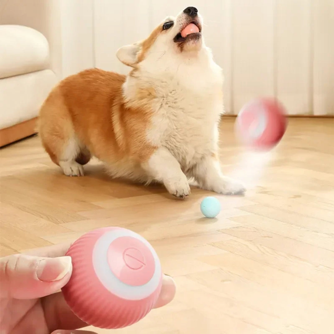 Smart Ball: Pelota para mascotas con sensores de movimiento