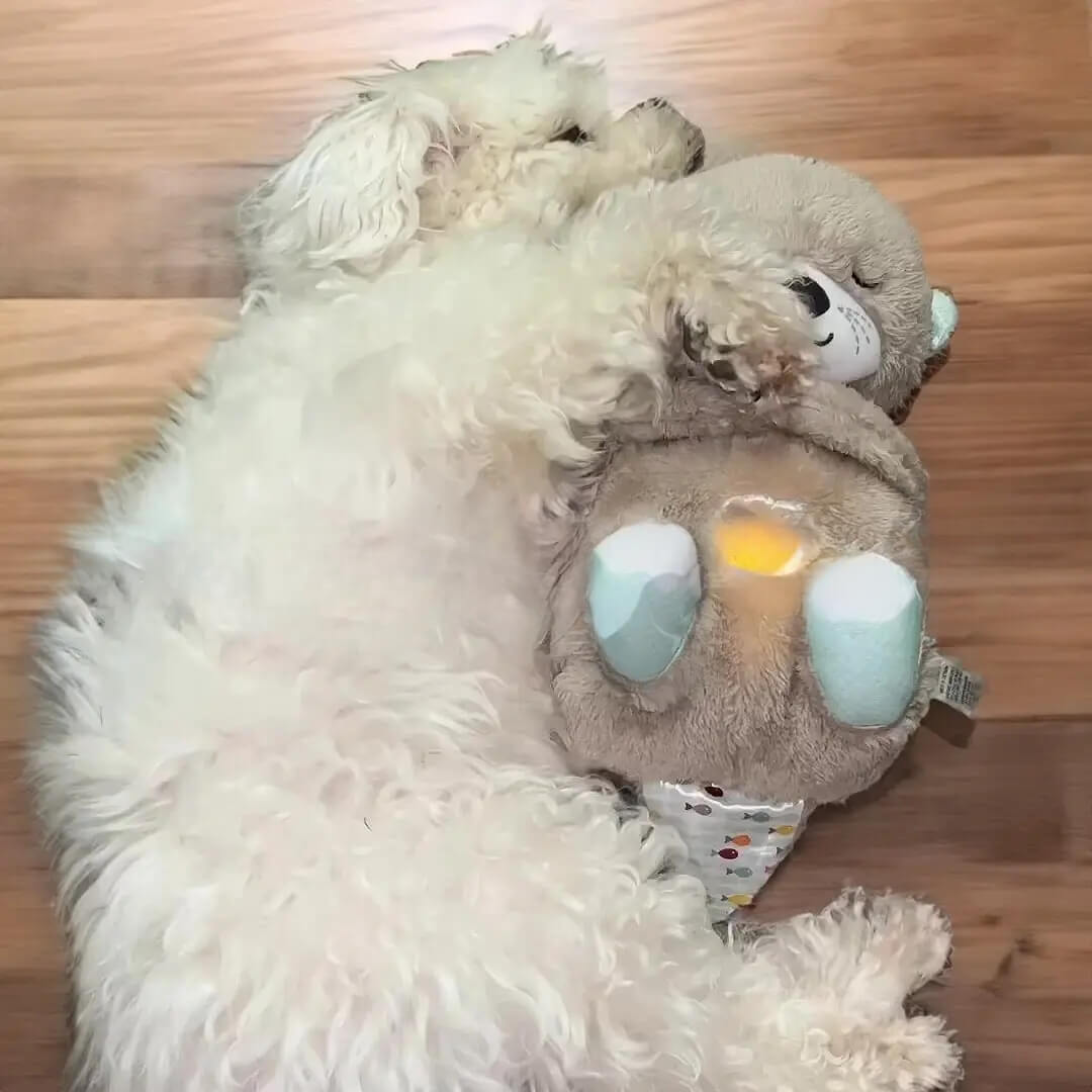 Peluche Nutria Tranquilizante