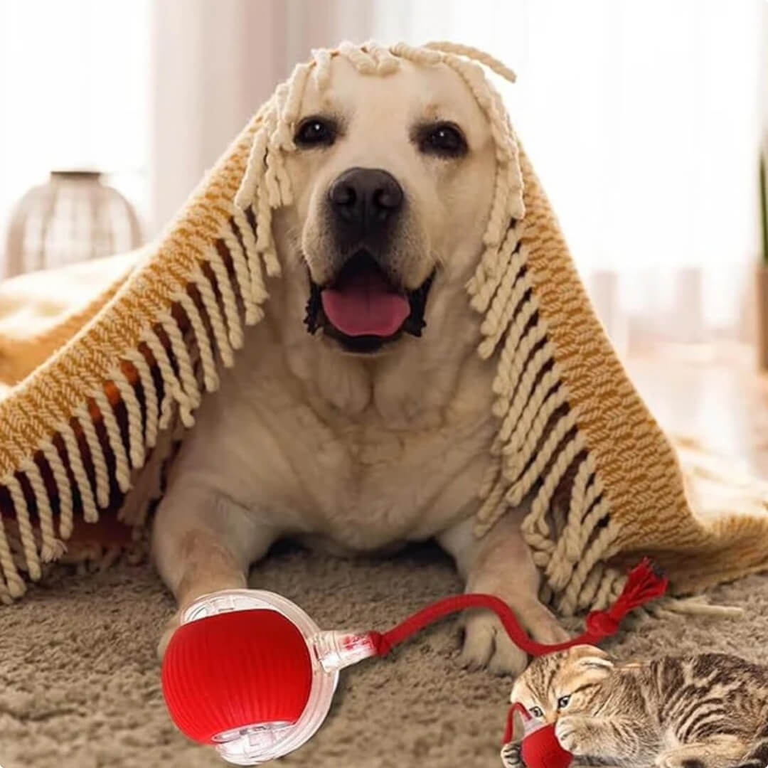 PetSpin 360 - Pelota Inteligente para Mascotas