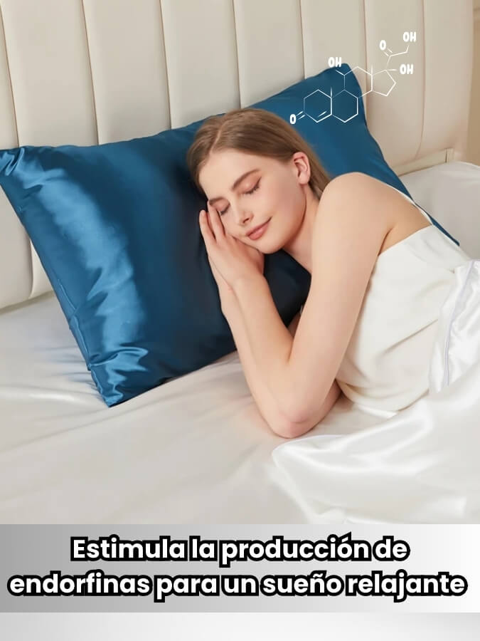 Funda de Almohada Anti-Frizz De Satin