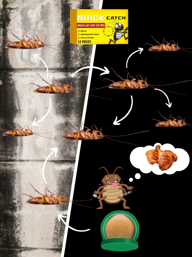 Quick Catch™: Cebo 100% Efectivo para Exterminar Cucarachas