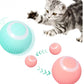 Smart Ball: Pelota para mascotas con sensores de movimiento